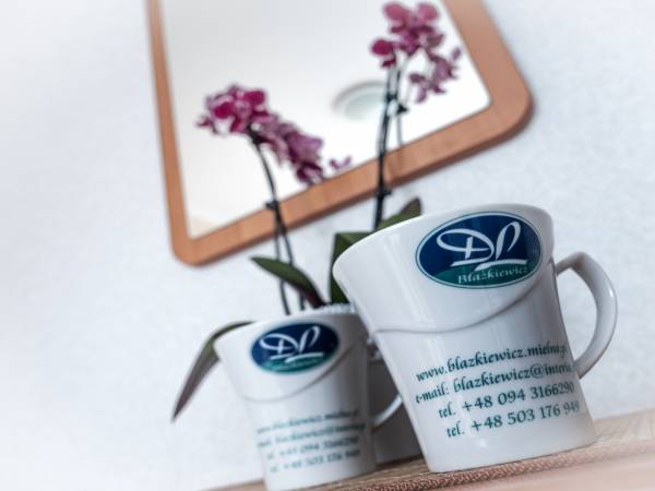 D.L. Błażkiewicz - Pensjonat