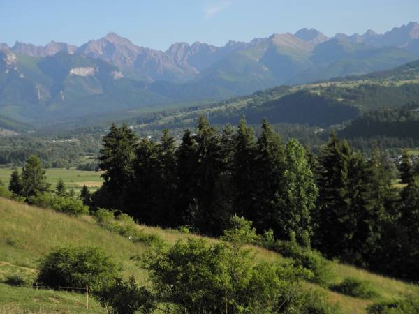 Widok z okolicy naszego domu