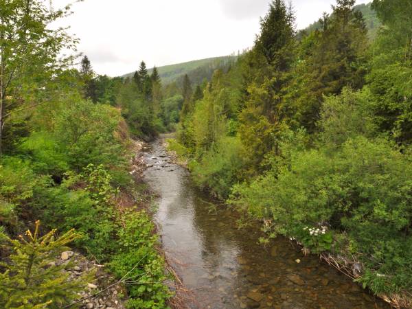 Rzeka Żylica 2 domków