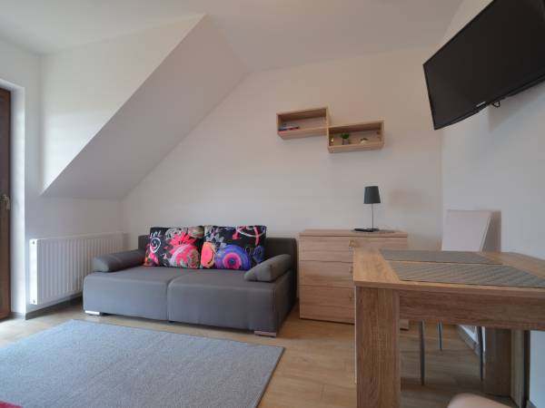 Pokój 2-3 osobowy z łazienką