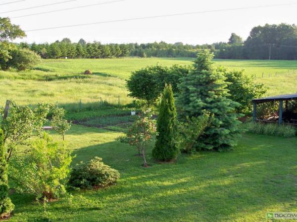 widok z balkonu gości