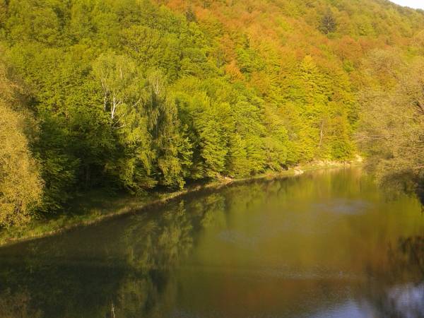 Rzeka Solinka w Bukowcu