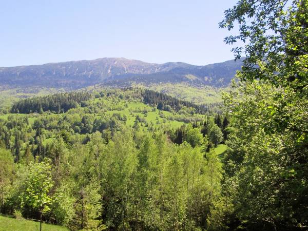 Kwatery Prywatne U Adama