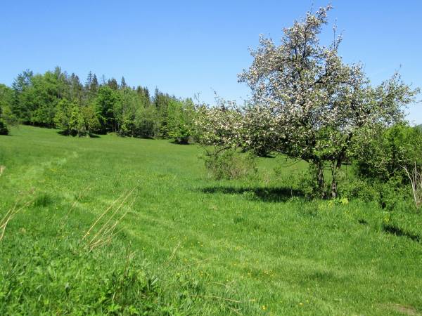 Kwatery Prywatne U Adama