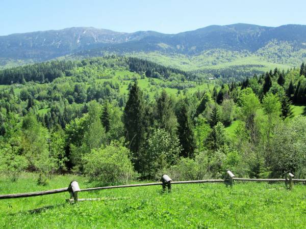 Kwatery Prywatne U Adama