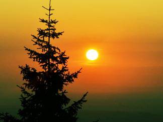 Danuta Bodziana- kwatery i pokoje