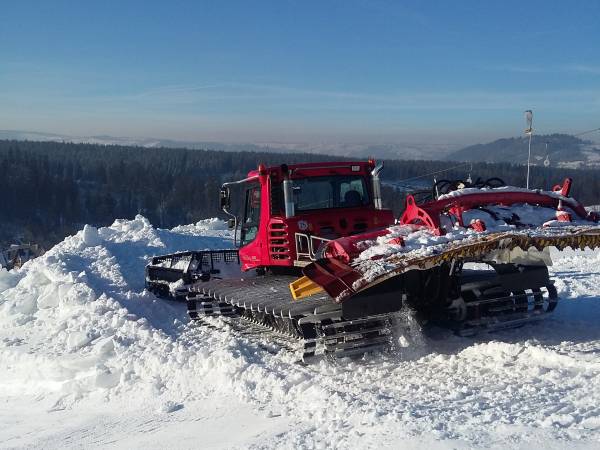 autor: Małgorzata Pawlikowska