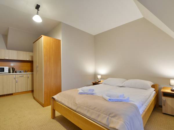 Pokój 3 osobowy z aneksem