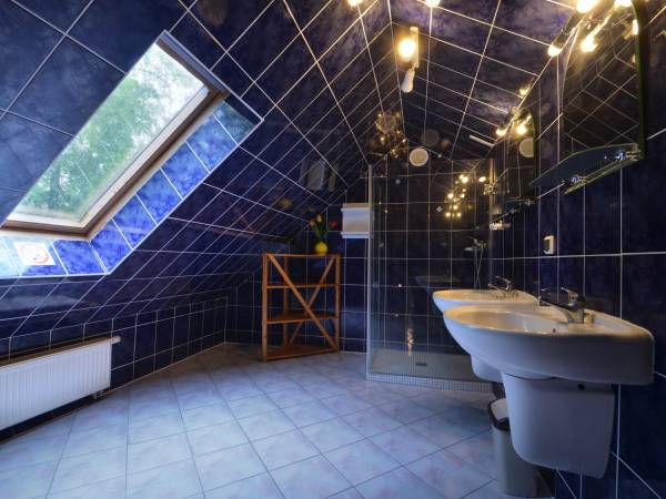 Dom Gościnny i domki Andy