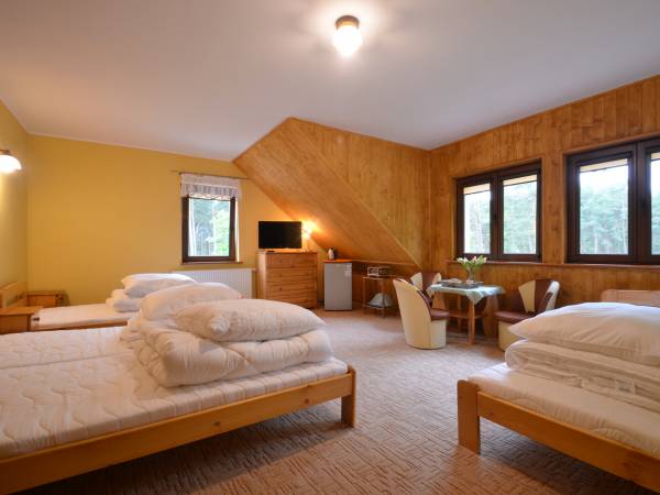 Dom Gościnny i domki Andy