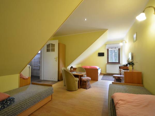 Dom Gościnny i domki Andy