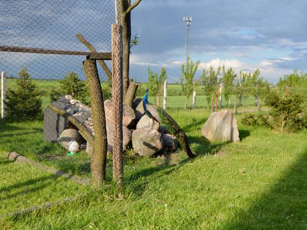 Agroturystyka u Krystyny