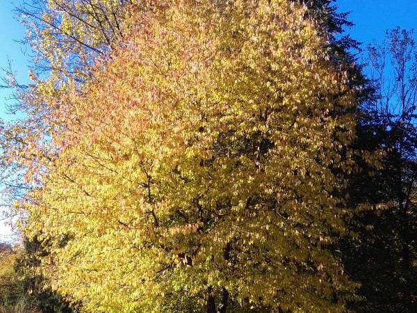 Domki całoroczne Mała Osada