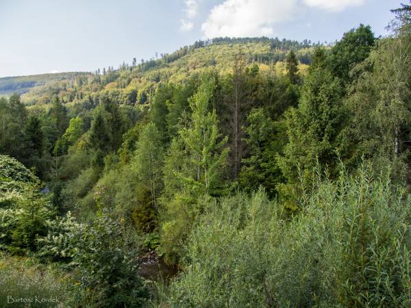 Widok z okna z sypialni nr 2