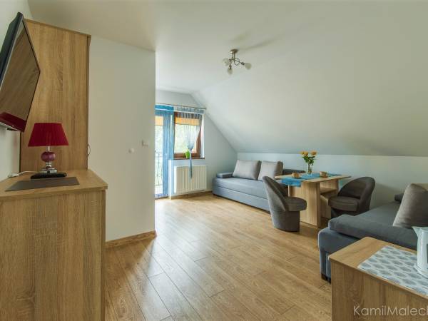 apartament- duży pokój