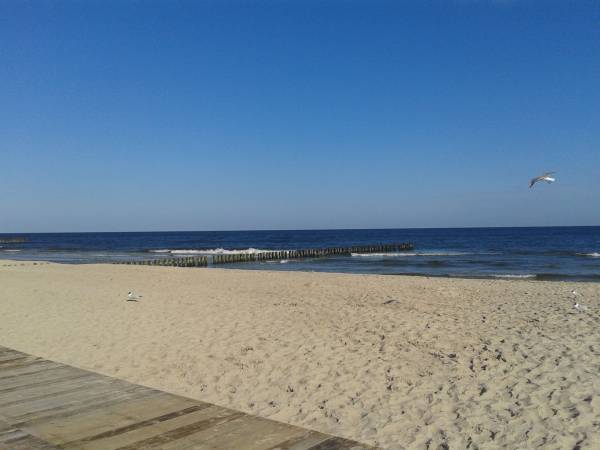 plaża w dziwnówku