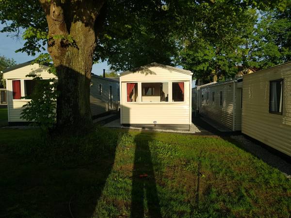 Domki angielskie Alex