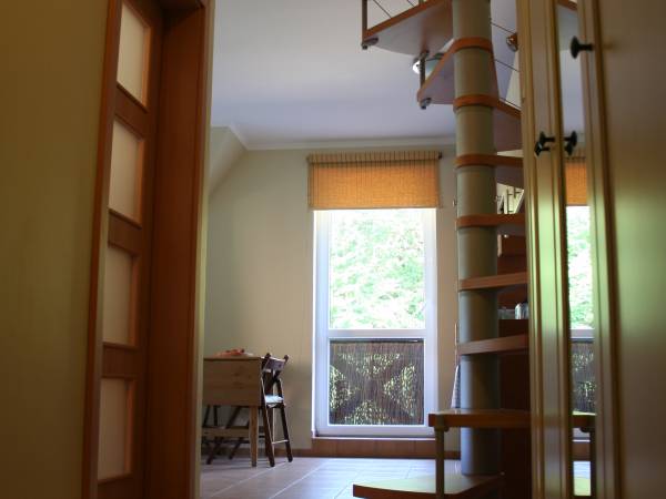 Korytarz z widokiem na salon, aneks i schody na antresolę