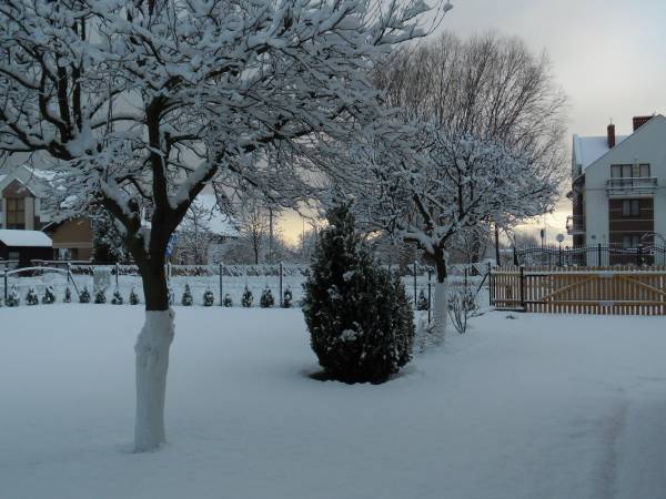 Pokoje Gościnne Justysia