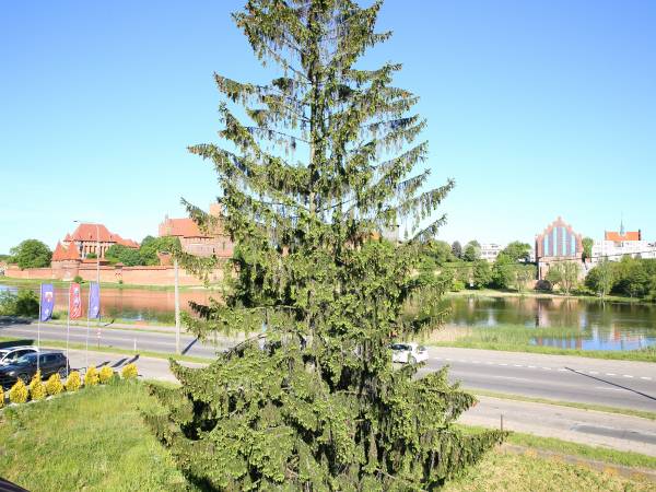 Gościniec w Malborku Pokoje Gościnne