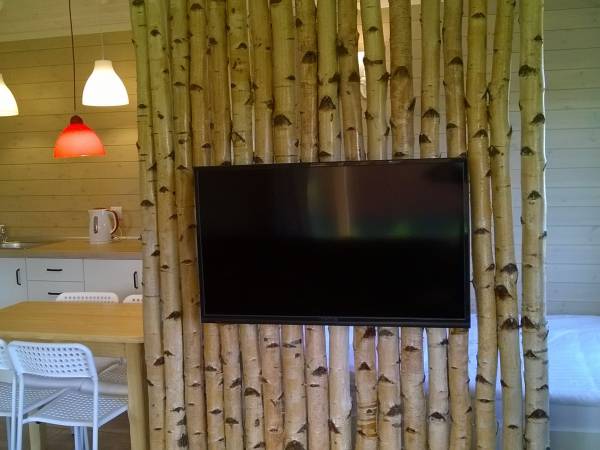 Ścianka brzozowa domek letniskowy