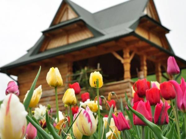 Magiczny Zakątek Bieszczady - Promocja