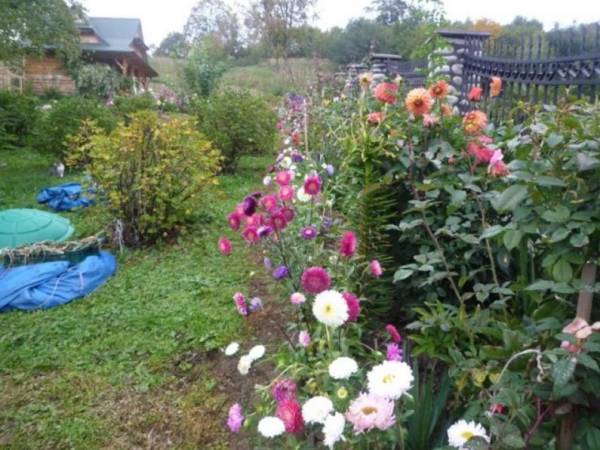 Magiczny Zakątek Bieszczady - Promocja