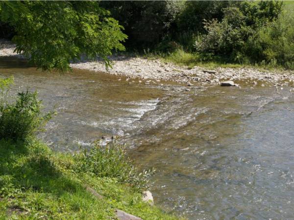 Noclegi u Jędrusia Nad Rzeką 