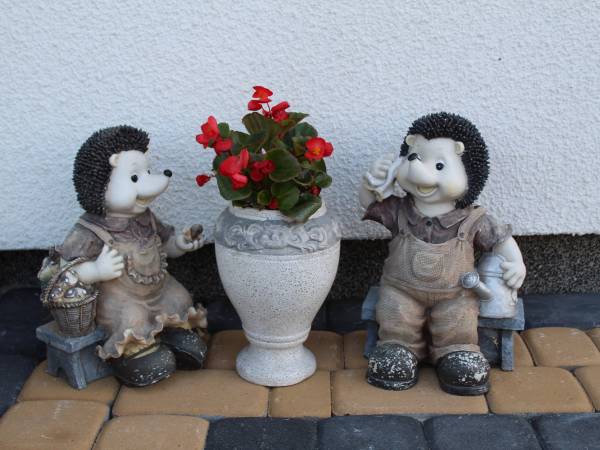 Pokoje gościnne Albatros