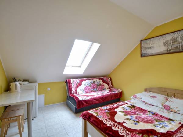 Pokój 2-3 osobowy na poddaszu, z klimatyzacją