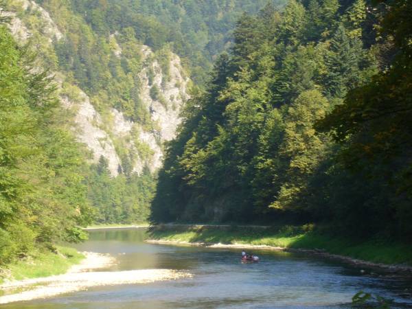 spływ przełomem Dunajca