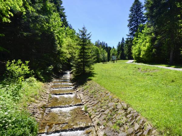 Domki Całoroczne Na Borach