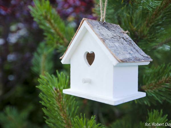 Domki i Pokoje Wisienka 