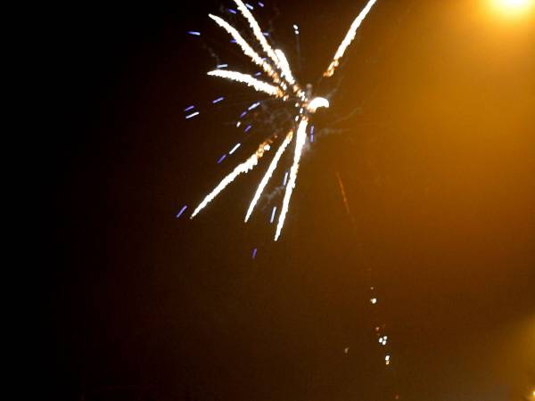 Willa Anna - Nowy Rok