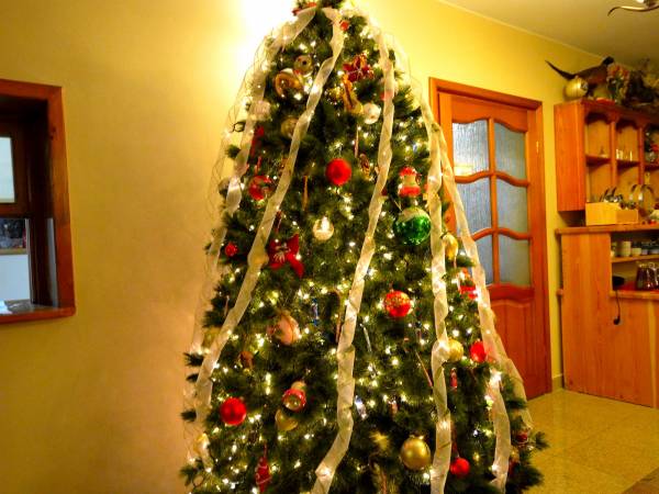 Willa Anna - choinka i mikołaj