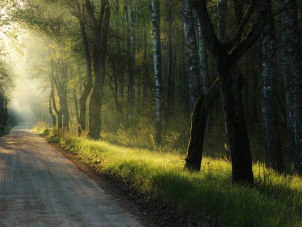 Przystań Antonówka