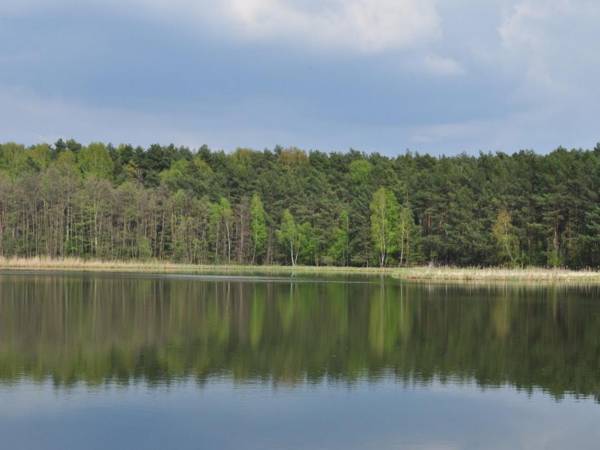 Przystań Antonówka