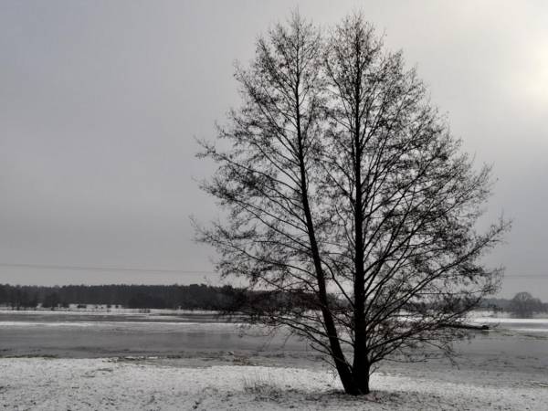 Przystań Antonówka