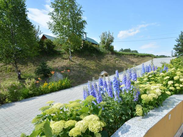 Apartamenty i pokoje Na Wzgórzu