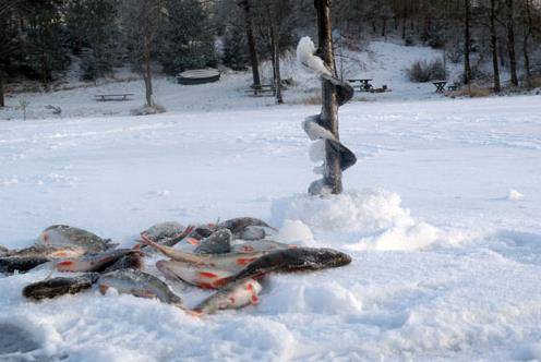 Agroturystyka nad jeziorem Hańcza