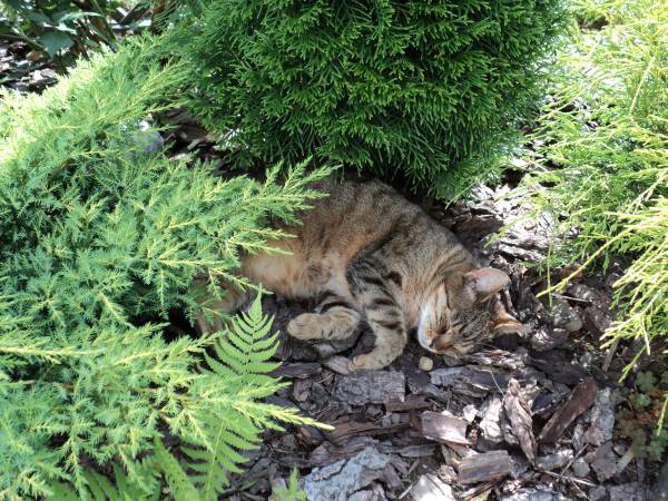 Pokoje Gościnne Aleksandra 