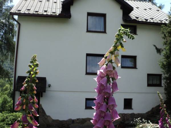 Pokoje Gościnne Aleksandra 