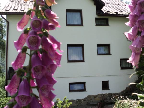 Pokoje Gościnne Aleksandra 