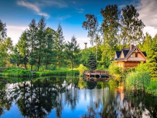 Suchatka Leśna na pierwszym planie :)