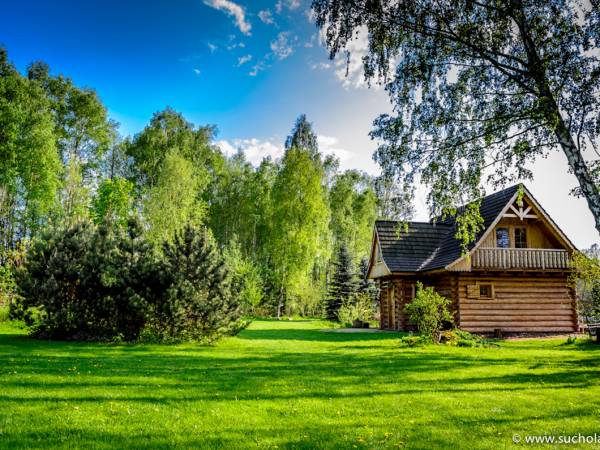 Sosnowe rondo przy Suchatce Leśnej