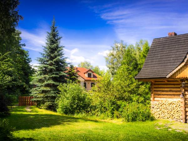 Suchatka Leśna na tle domu