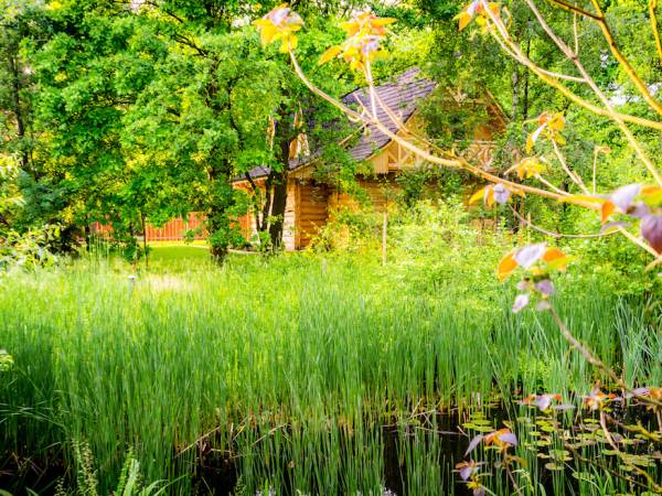 Suchatka Dębowa Jacek i Agatka