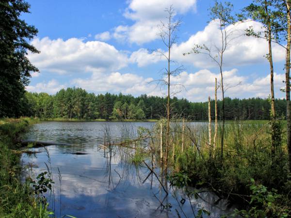 Ostoja Leśna Gospodarstwo Agroturystyczne