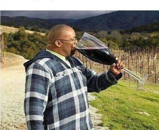 Dom Gościnny 'POLONUS'