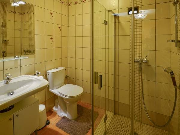 SPA Willa pod Czantorią Ustroń